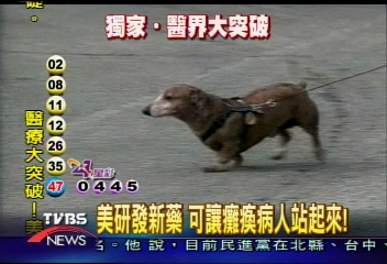 〈獨家〉美研發新藥 可讓癱瘓病人站起來