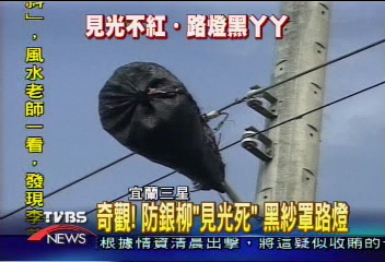 奇觀!防銀柳見光死 黑紗罩路燈