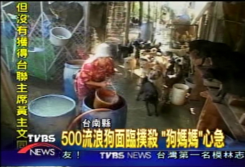 我想幫助在台南縣收養500隻狗的狗媽媽...