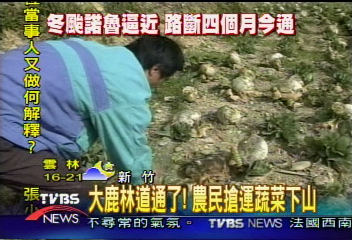 大鹿林道通了!農民搶運蔬菜下山