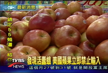 發現活蠹蛾 美國蘋果立刻禁入