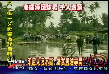 南亞大地震 死亡破6萬