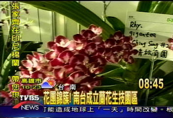 花團錦簇！南台成立蘭花生技園區