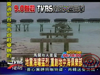 白沙灘棕梠樹沒了　海上屋變殘磚破瓦