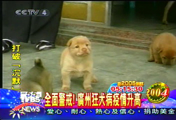 全面警戒! 廣州狂犬病疫情升高