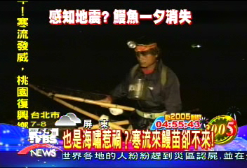 也是海嘯惹禍?寒流來鰻苗卻不來!
