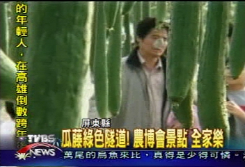 瓜藤綠色隧道!農博會景點 全家樂