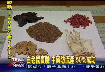 白老鼠實驗　中藥防流產　50%成功