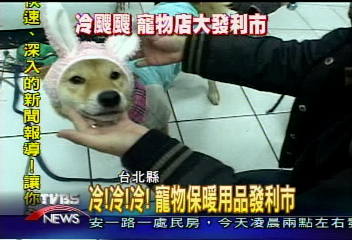 冷！冷！冷！　寵物保暖用品發利市