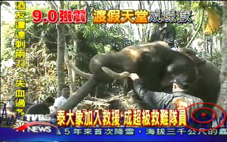 泰大象加入救援 成超級救難隊員