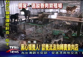〈獨家〉黑心領養人！認養流浪狗轉賣香肉店