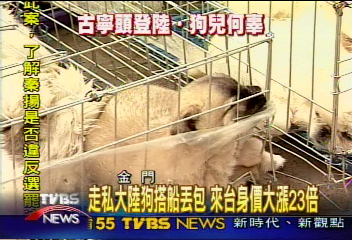 走私大陸狗！搭船、丟包　成53隻落湯狗
