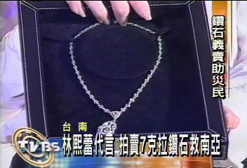 林熙蕾代言 拍賣7克拉鑽石救南亞