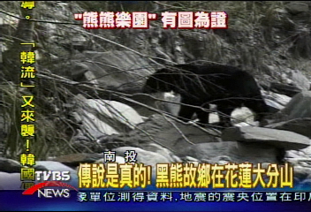 尋回黑熊故鄉 原住民傳說證實是真的