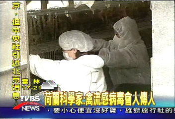 荷蘭科學家:禽流感病毒會人傳人