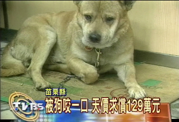 被狗咬一口 天價求償129萬元