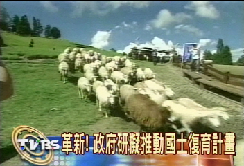 高山禁開發！梨山清境農場將消失