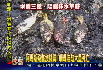 阿瑪斯浩劫持續!賠償低於訴訟費