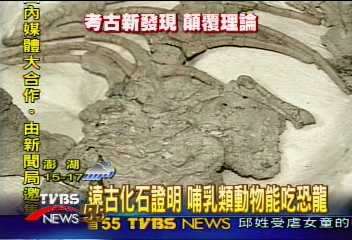 遠古化石證明　哺乳類動物能吃恐龍