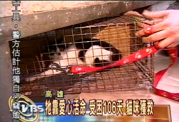 牠靠愛心活命　受困106天　貓咪獲救