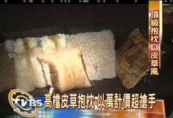 豪宅主人新寵　奢華抱枕一個7萬元