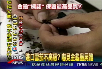 進口雪茄不高級? 赫見金龜蟲屍體