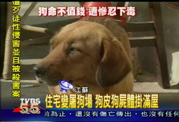 住宅變屠狗場 狗皮狗屍體掛滿屋