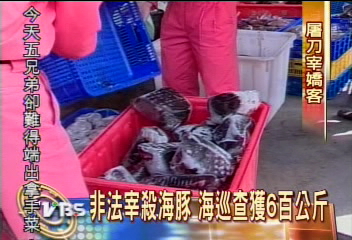 最聰明的海生物　海豚遭集體屠殺！