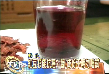 紅豆杉能抗癌？醫：成份不明勿嚐試