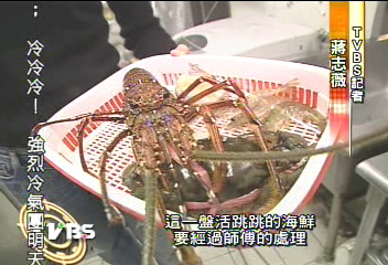 頂級活海鮮涮涮鍋　食材上桌活跳跳