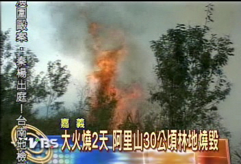 大火燒2天 阿里山30公頃林地燒毀