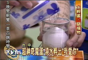 請問魔蛋哪裡買?