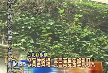 公寓當蜂場！ 養三萬隻蜜蜂亂盯人