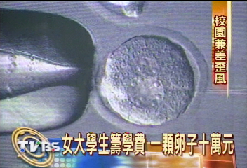 〈獨家〉看學歷身高！女大學生賣卵　一次20萬