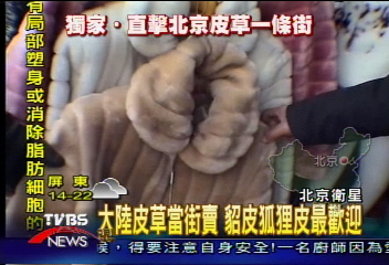 〈獨家〉大陸皮草當街賣 貂皮狐狸皮最歡迎