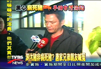 淘汰豬非病死豬?唐家兄弟親友喊冤