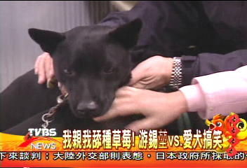 怎樣都黑!游家小黑不洗澡 隨扈伺候