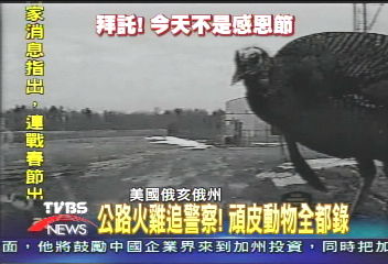 公路火雞追警察！　頑皮動物全都錄