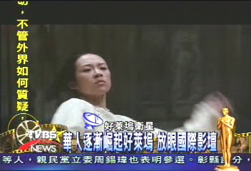 兩岸三地奧斯卡缺席 幸有章子怡撐場