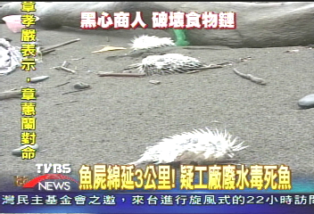 魚屍綿延3公里! 疑工廠廢水毒死魚