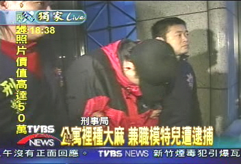 溫室種大麻 留美學生 兼職模特兒