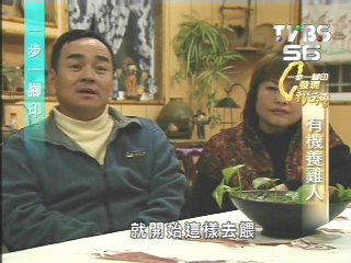 【一步一腳印】花蓮牧草雞　有機養育肉質佳