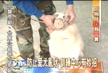 割聲帶太殘忍！　專家教你讓愛犬「閉嘴」