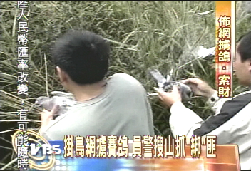 鳥網高掛擄賽鴿　員警山區緝匪全都錄
