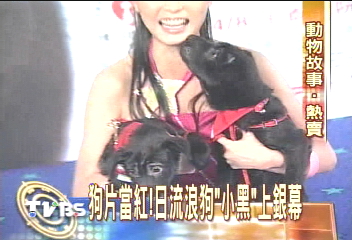 狗狗當紅！　「莎喲娜啦！小黑」上映
