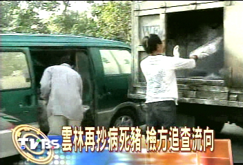 雲林再抄病死豬 檢方追查流向