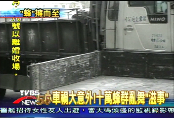 小車禍大意外!10萬蜂群亂舞「滋事」