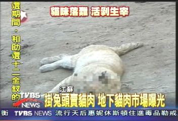 掛兔頭賣貓肉 地下貓肉市場曝光