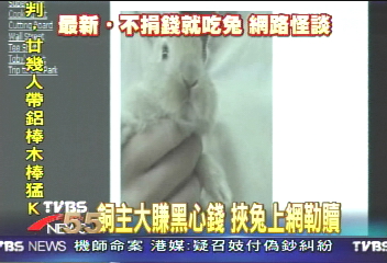 不捐錢就吃兔 可怕主人藉機賺錢