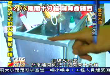 〈獨家〉寵物美容藏殺機　貓洗澡被勒死